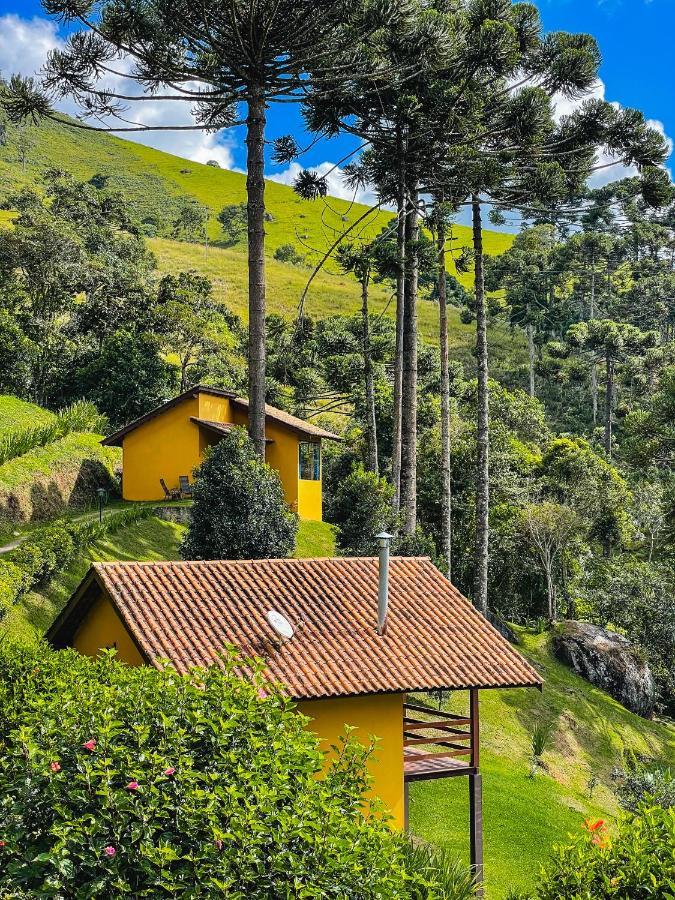 Toca Da Onca * Gonçalves